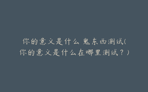 你的意义是什么 鬼东西测试(你的意义是什么在哪里测试？)