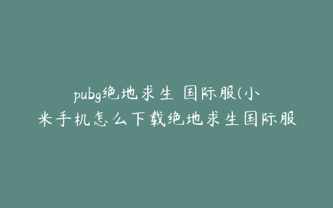 pubg绝地求生 国际服(小米手机怎么下载绝地求生国际服)