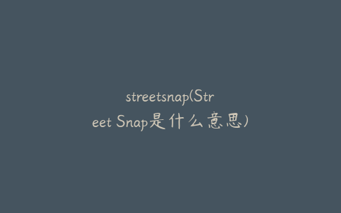 streetsnap(Street Snap是什么意思)