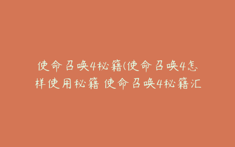 使命召唤4秘籍(使命召唤4怎样使用秘籍 使命召唤4秘籍汇总)