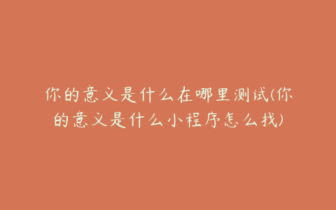 你的意义是什么在哪里测试(你的意义是什么小程序怎么找)