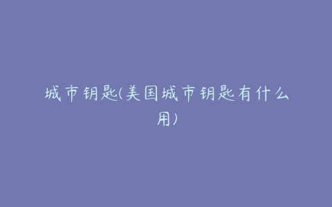 城市钥匙(美国城市钥匙有什么用)