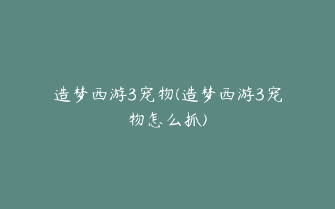 造梦西游3宠物(造梦西游3宠物怎么抓)