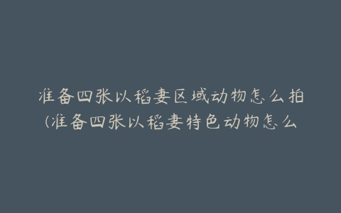 准备四张以稻妻区域动物怎么拍(准备四张以稻妻特色动物怎么拍)