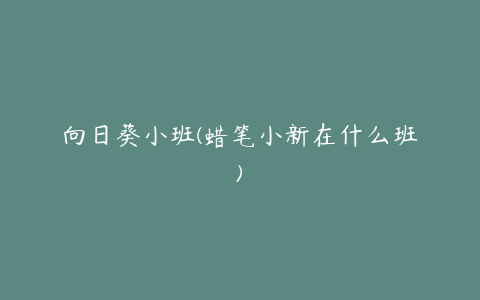 向日葵小班(蜡笔小新在什么班)