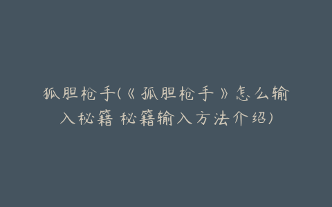 狐胆枪手(《孤胆枪手》怎么输入秘籍 秘籍输入方法介绍)