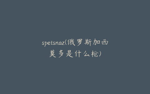 spetsnaz(俄罗斯加西莫多是什么枪)