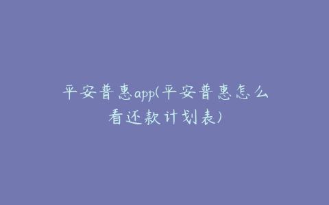 平安普惠app(平安普惠怎么看还款计划表)