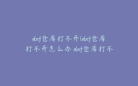 dnf仓库打不开(dnf仓库打不开怎么办 dnf仓库打不开解决方法)