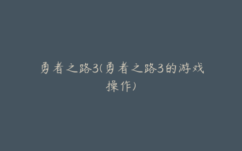 勇者之路3(勇者之路3的游戏操作)