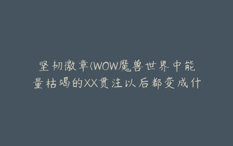 坚韧徽章(WOW魔兽世界中能量枯竭的XX贯注以后都变成什么了)