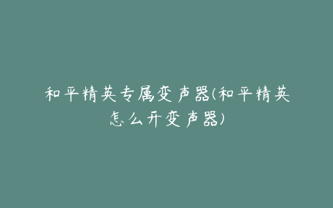 和平精英专属变声器(和平精英怎么开变声器)