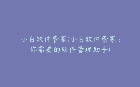 小白软件管家(小白软件管家：你需要的软件管理助手)