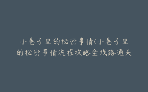 小巷子里的秘密事情(小巷子里的秘密事情流程攻略全线路通关指南)