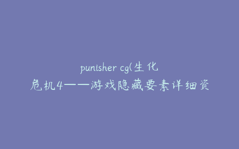 punisher cg(生化危机4——游戏隐藏要素详细资料)