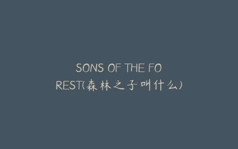 SONS OF THE FOREST(森林之子叫什么)