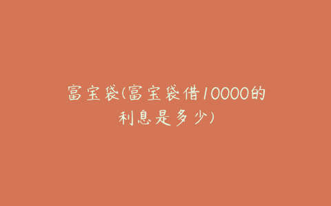 富宝袋(富宝袋借10000的利息是多少)