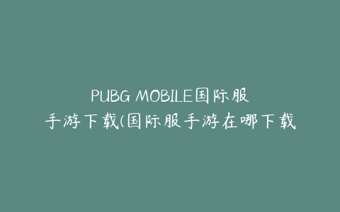 PUBG MOBILE国际服手游下载(国际服手游在哪下载)