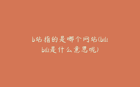 b站指的是哪个网站(bilibili是什么意思呢)