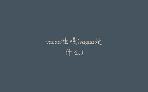 vagaa哇嘎(vagaa是什么)